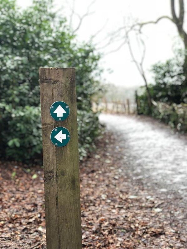 「前も左もどっちもFOOTPATHだよ（ただしどこに向かっているかは言わない）」というスタンスの標識。もはや哲学めいた趣すらある