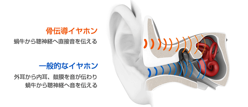 TREKZ TITANIUMはドライバ部を耳の前方に当てて使います。
