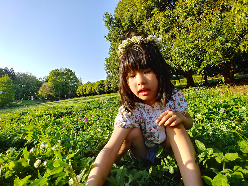 このダイナミック感と精細さ