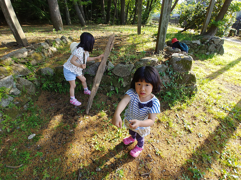 広角レンズがヤバイ