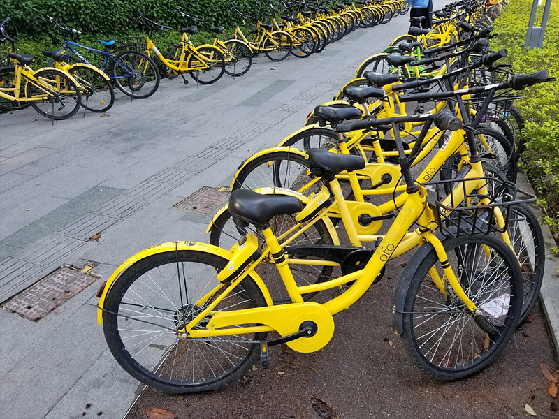海外都市の「ofo」（中国・深セン）
