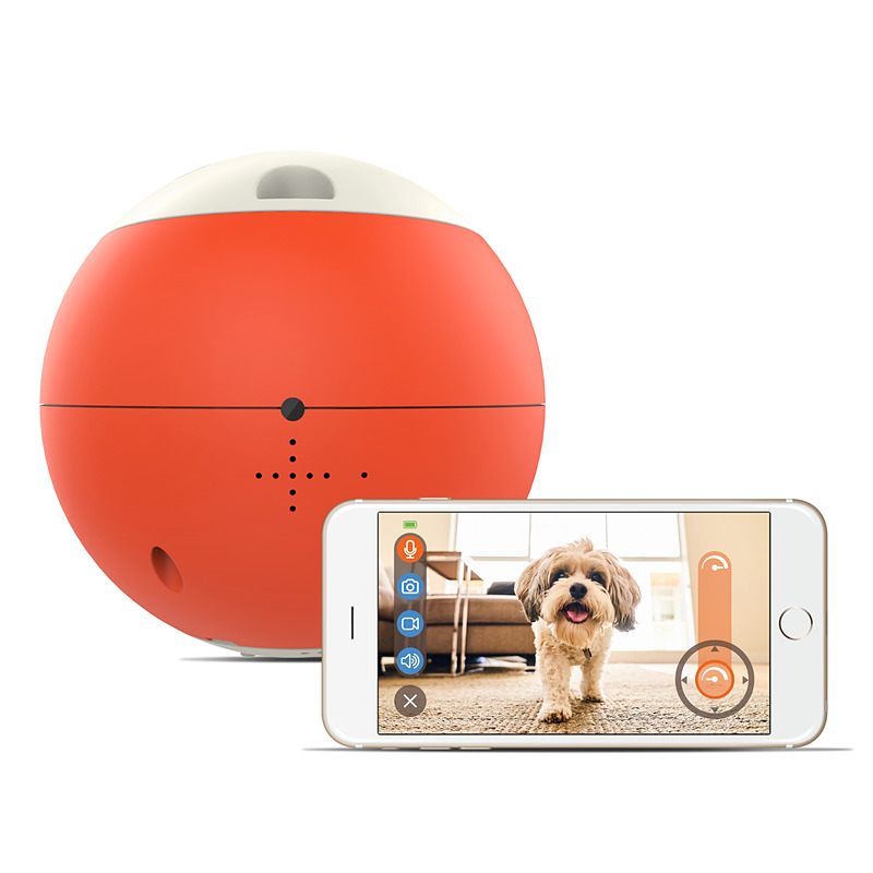 スマホで操作できるペット用のおもちゃ「easyPlay」