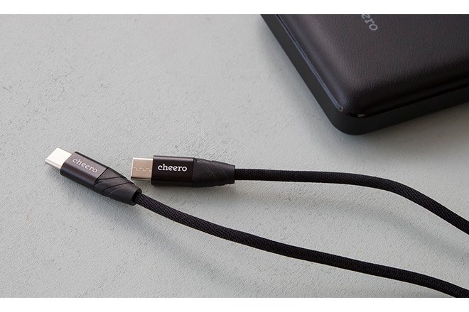 付属するUSB Type-C to Type-Cケーブル