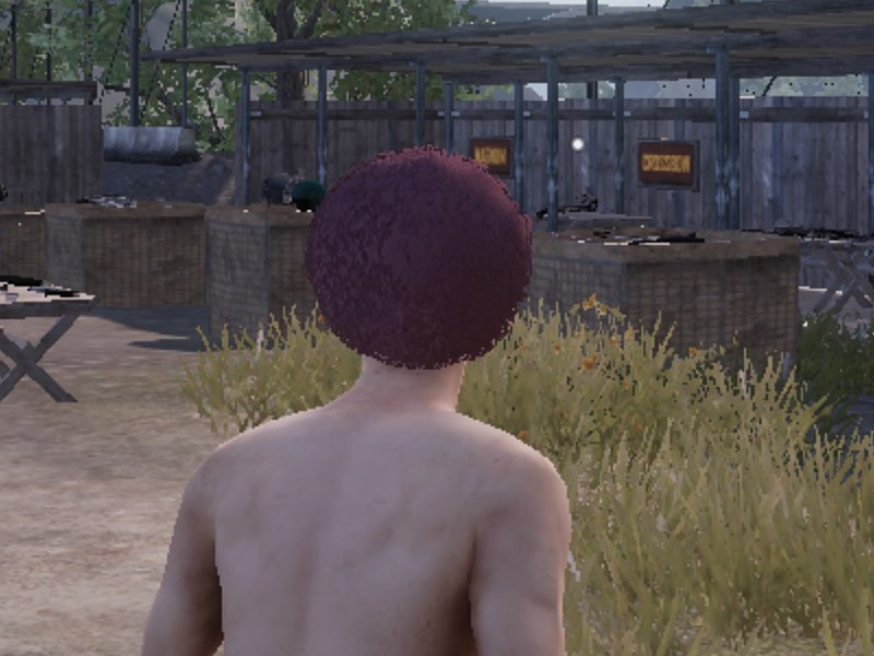 左が「2880×1440」、右が「1440×720」（200％）の解像度で、それぞれ画面の一部を拡大した。「2880×1440」に補間がかかっているが、ドットの粗さは同じに見える