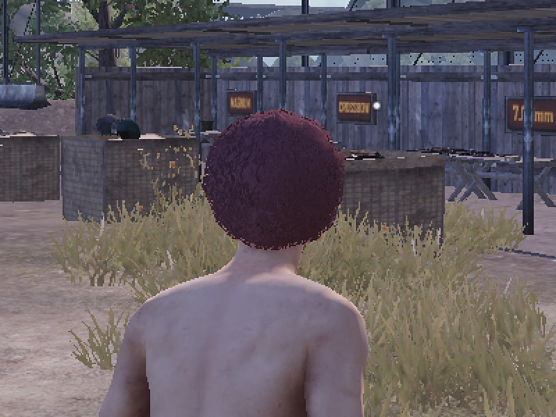 左が「2880×1440」、右が「1440×720」（200％）の解像度で、それぞれ画面の一部を拡大した。「2880×1440」に補間がかかっているが、ドットの粗さは同じに見える