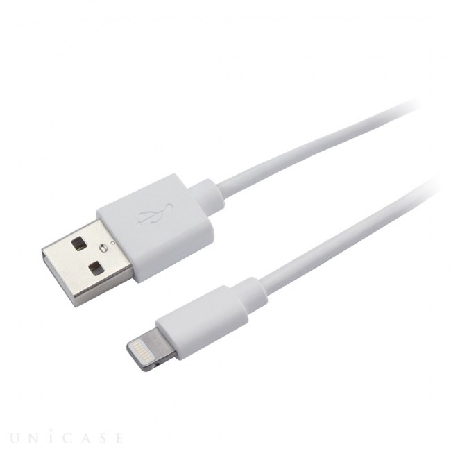 HUGE Lightning CABLE 1.0m