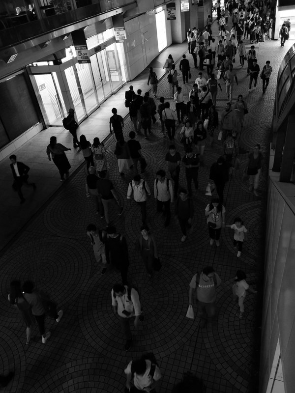 白飛びが抑えられ暗部も粘るモノクロセンサーの写真