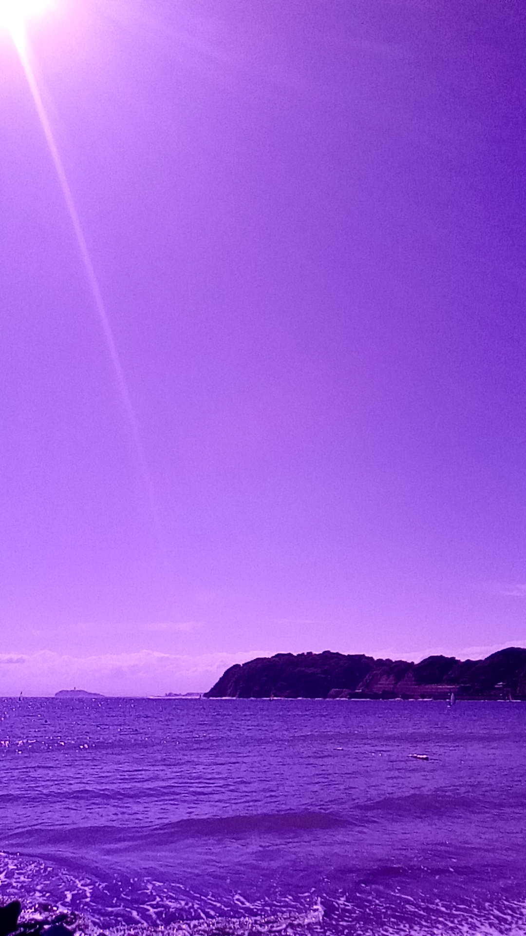 試したカメラアプリのひとつ、高画質で定評のある「無音カメラ[高画質]」でオート撮影した画像。よく見ると若干ざらつくものの、これもなかなかの紫だ