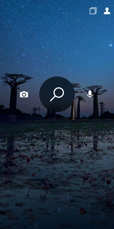 カメラ撮影した写真を元に画像検索できる「Microsoft Bing 検索」