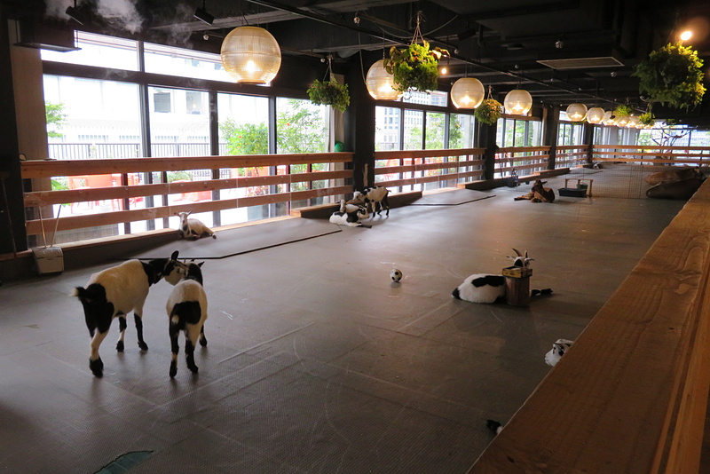 都会の真ん中のビルで動物が飼育されている大手町牧場