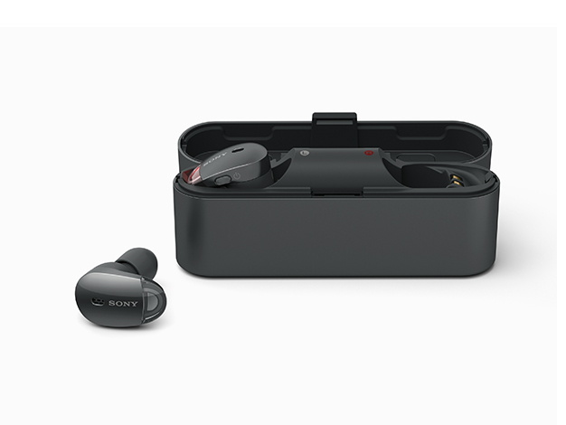 「WF-1000X」（ブラック、ケース側面に刻印）