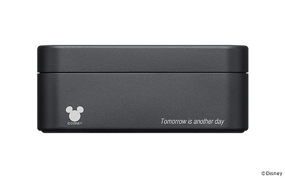 「WF-1000X」（ブラック、ケース側面に刻印）