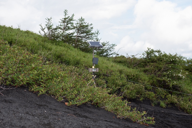 こちらは登山道の隣、下山道側に設置されたIoTセンサー