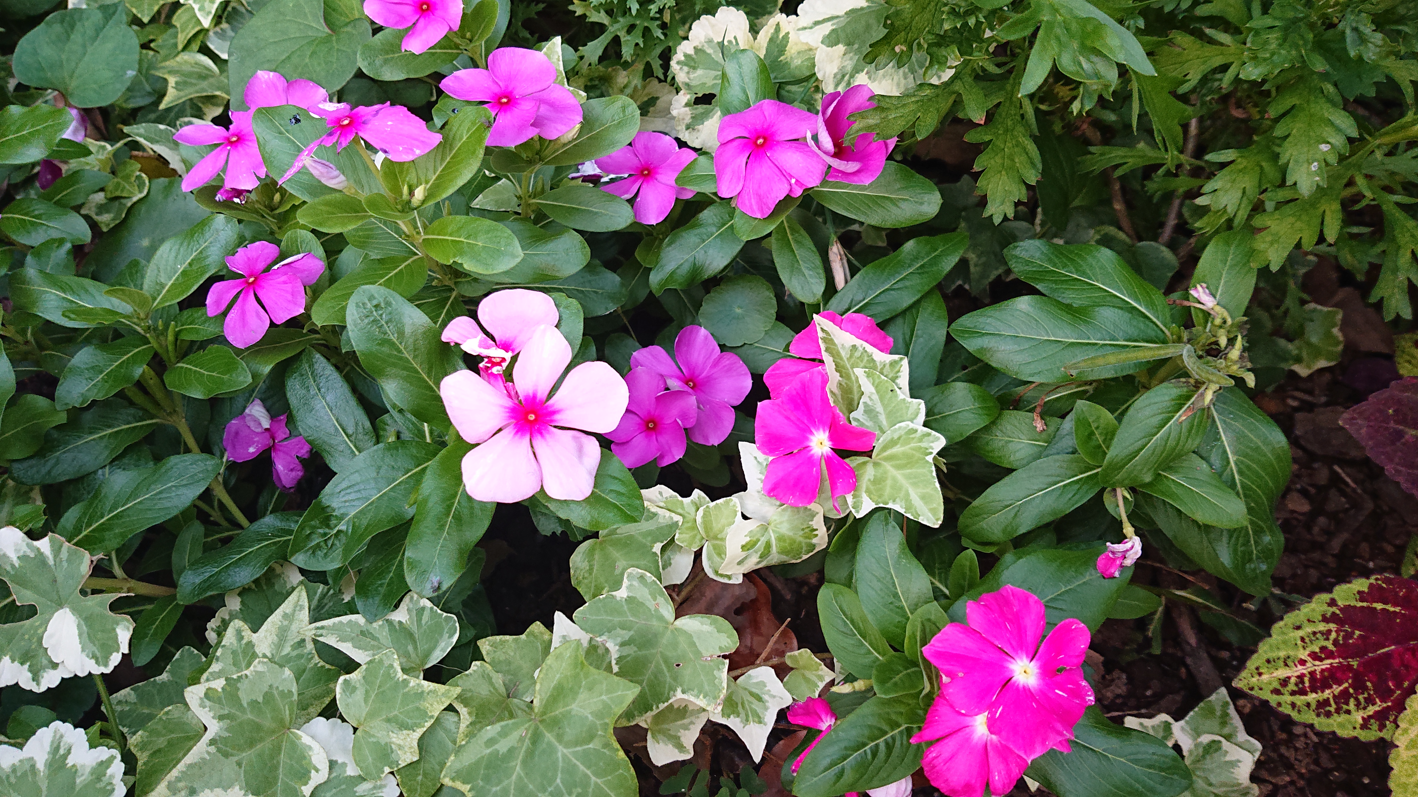 4864×2736ドット。リンク先は無加工