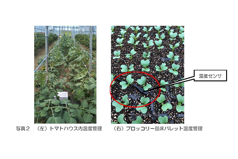 実証実験の様子