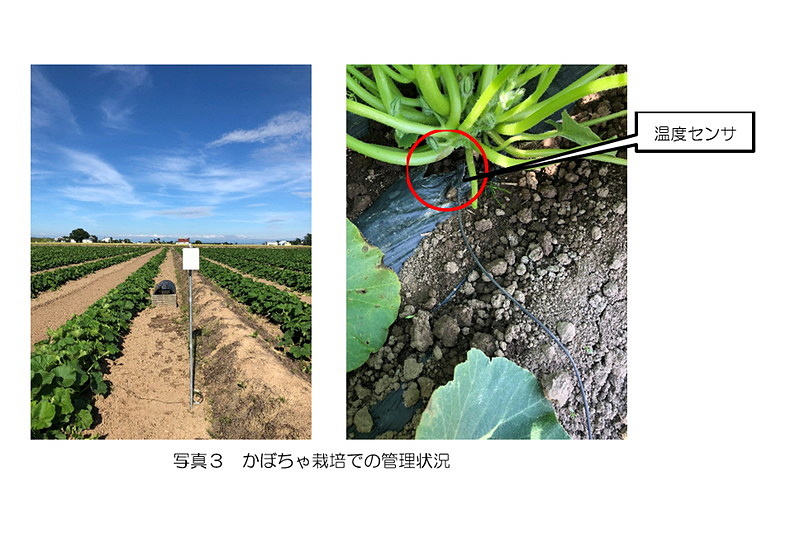 実証実験の様子