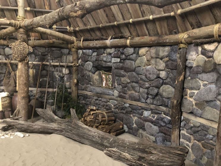 以前の寝床にあった流木