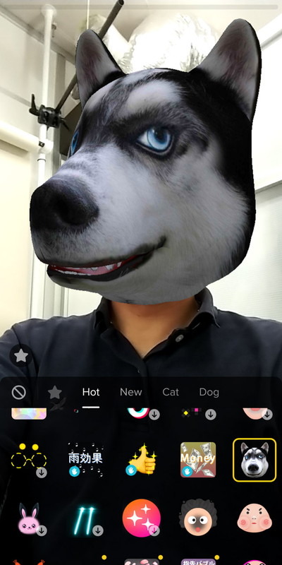 リアルタイムで被写体の頭部を動物の3Dモデルにする特殊効果