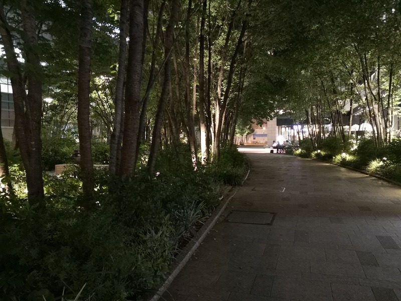 ノーマルなモードで撮影。肉眼では木の根元がほとんど見えない程に暗いが、様子が分かる程度に明るく写っている。ただし道の先の飲食店のテラスは光源が白飛びしている