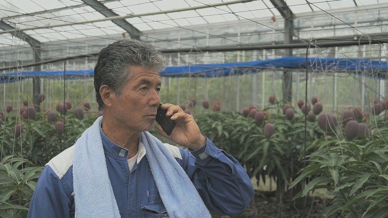 携帯電話で確認が可能