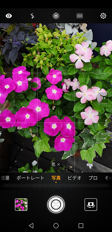 2秒ほど待つと「花 ×」といった表示に変わり、「×」をタップすると設定を解除できる