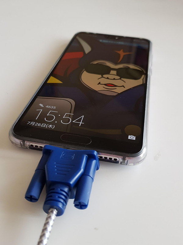 Android系のType-Cプラグでもサイズの小さなものなら個人のリスクで収まるものもある。