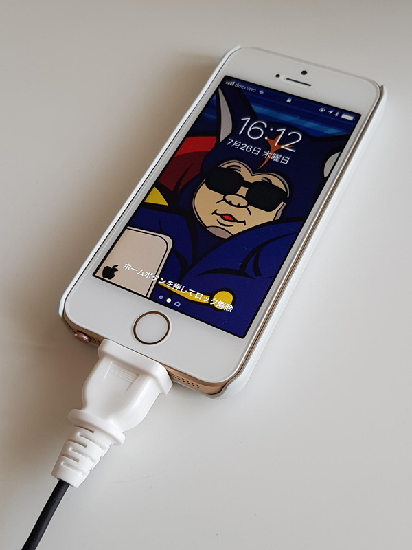 意外とACプラグタイプはインパクトがある