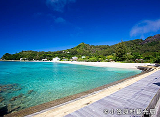 体験できるスポット。大村海岸