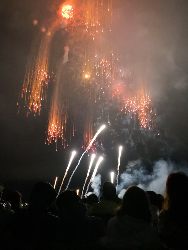 「落下中のアクシズから大気圏に降り注いできた大量の破片を迎撃すべく地上から発射されたミサイル群を見守る人達」とキャプションをつけても通じそうだ（？）