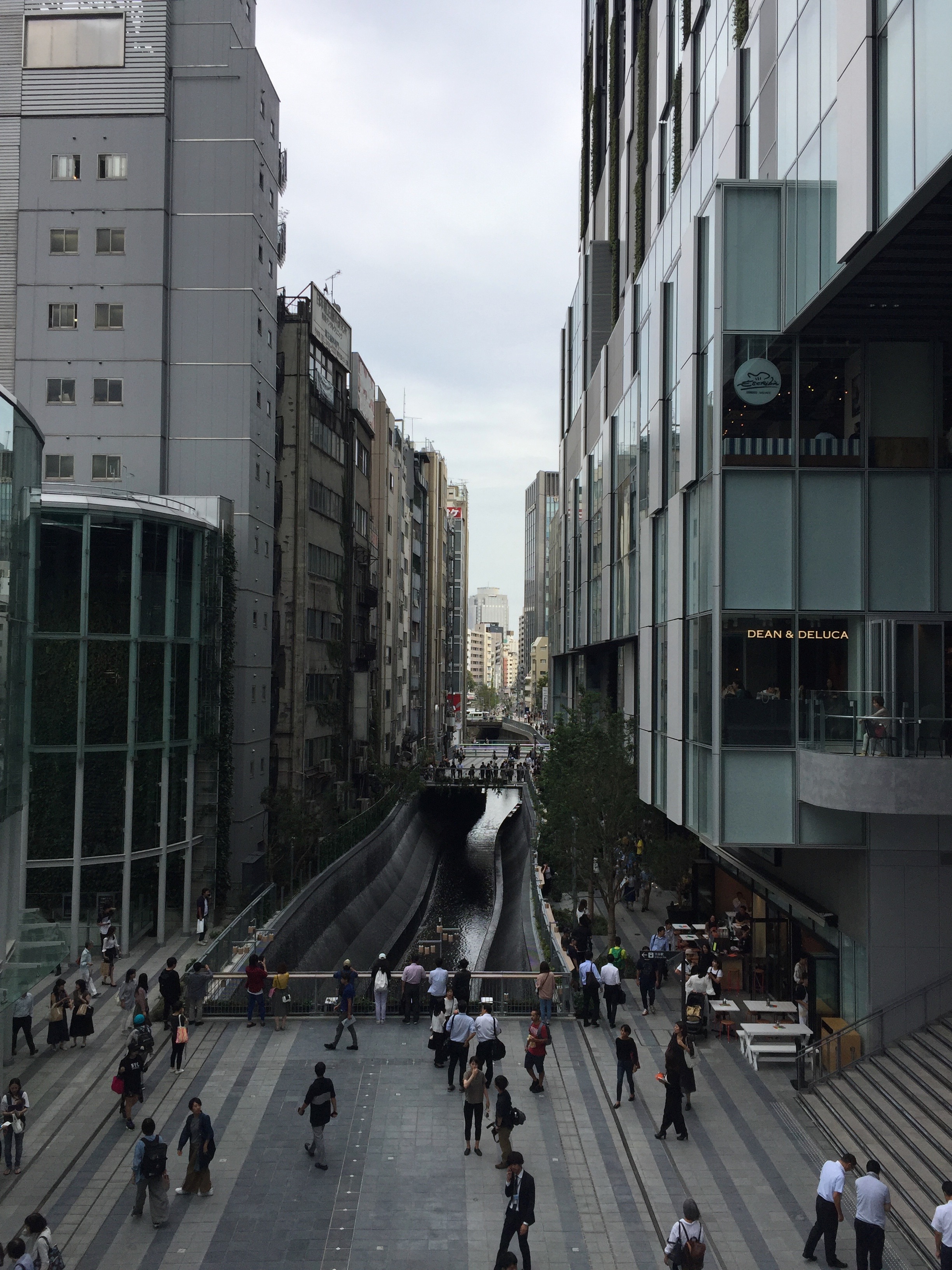 iPhone 6。最後の8MPモデル。この被写体だとこの世代でも十分で、あとは露出を手動で補正すればOKな印象