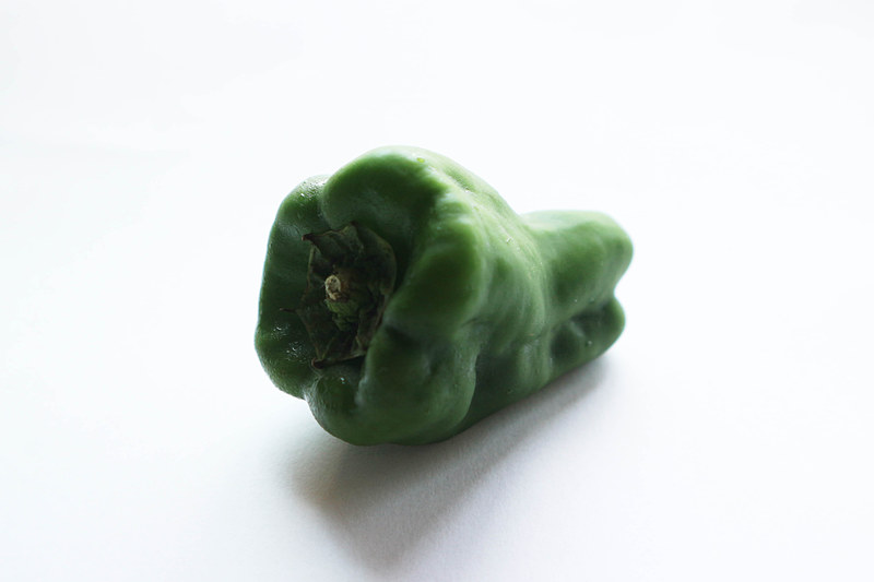 逆光の元、レフ板なしの写真