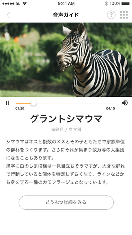 「one zoo」音声ガイド