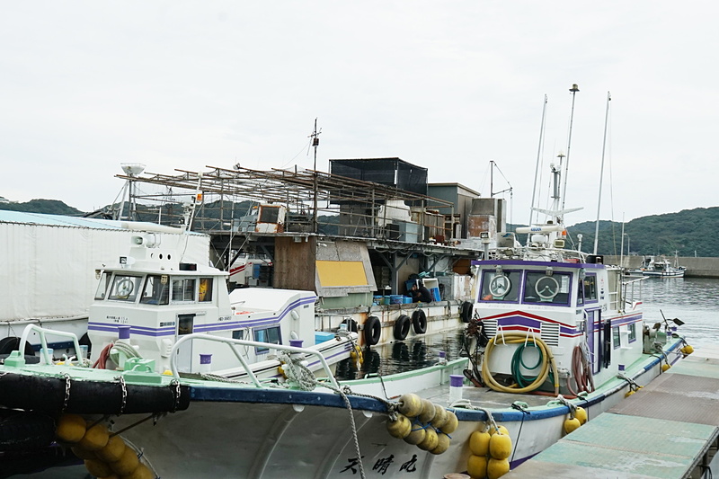 港では仲買人の船を横付けして買い付けが行われる