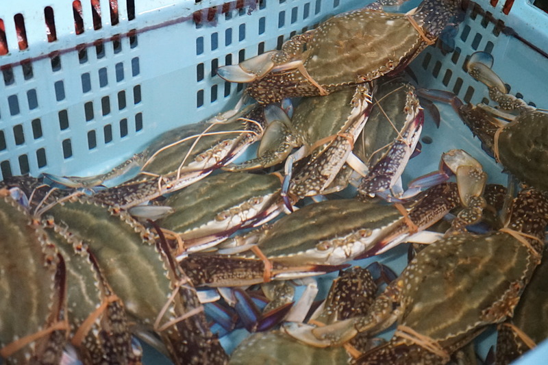 漁港の事務所には、しまものラボの告知ポスターが貼られていた