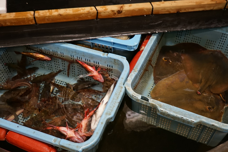 魚屋でもいけすで販売されている