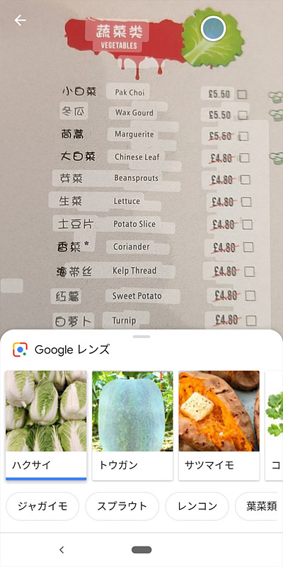 せっかく翻訳しても直訳ではちんぷんかんぷんというのは、よくあること。料理や食材を写真で確認できれば、どんなものかだいたい想像できる