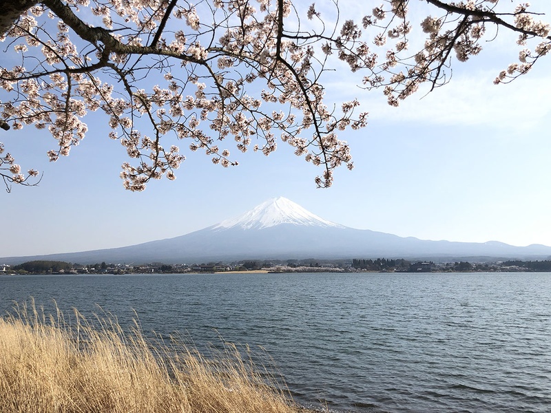 2017年11月3日に発売されたアップルの「iPhone X」。中央と右はiPhone Xで撮った写真ですが、2枚ともリサイズしただけです。発色も解像感も良好で、十分な光量があれば被写体のディテイルまで鮮明に写ります。たまに色味がハズレたりしますが。でも普段使いのカメラとして画質的には満足しています。
