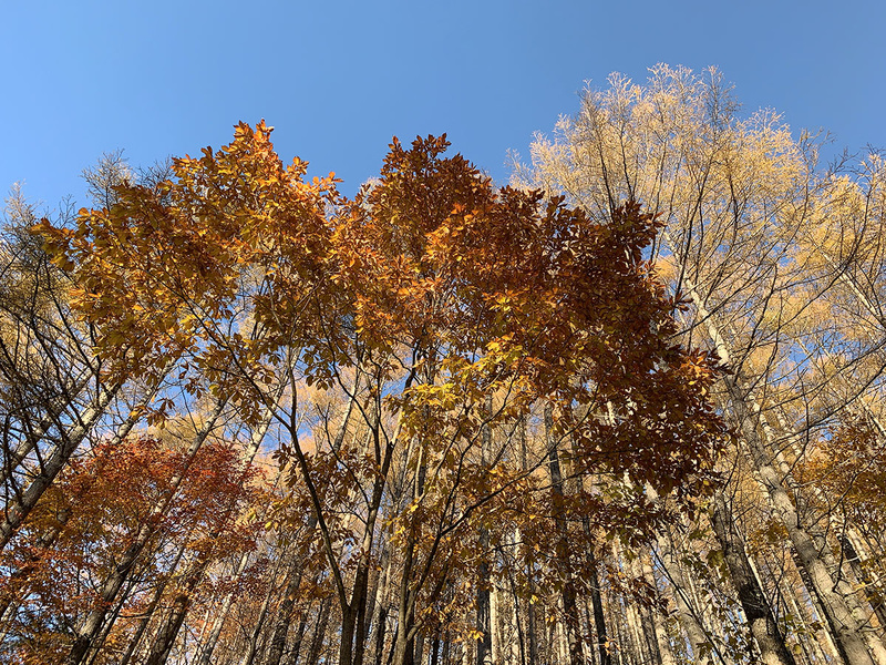 納車後に連続してツーリングに。埼玉県・秩父あたりから山梨県・甲府あたり、それから山梨・長野の境にある大弛峠周辺も走りました。これら写真はオープンにしたS660車内から撮ったものです。