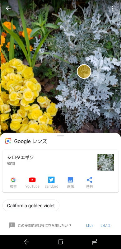 カメラをかざすだけで目の前の物を検索できる