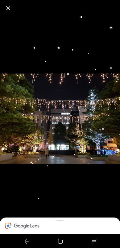 過去の写真にもGoogleレンズを使える