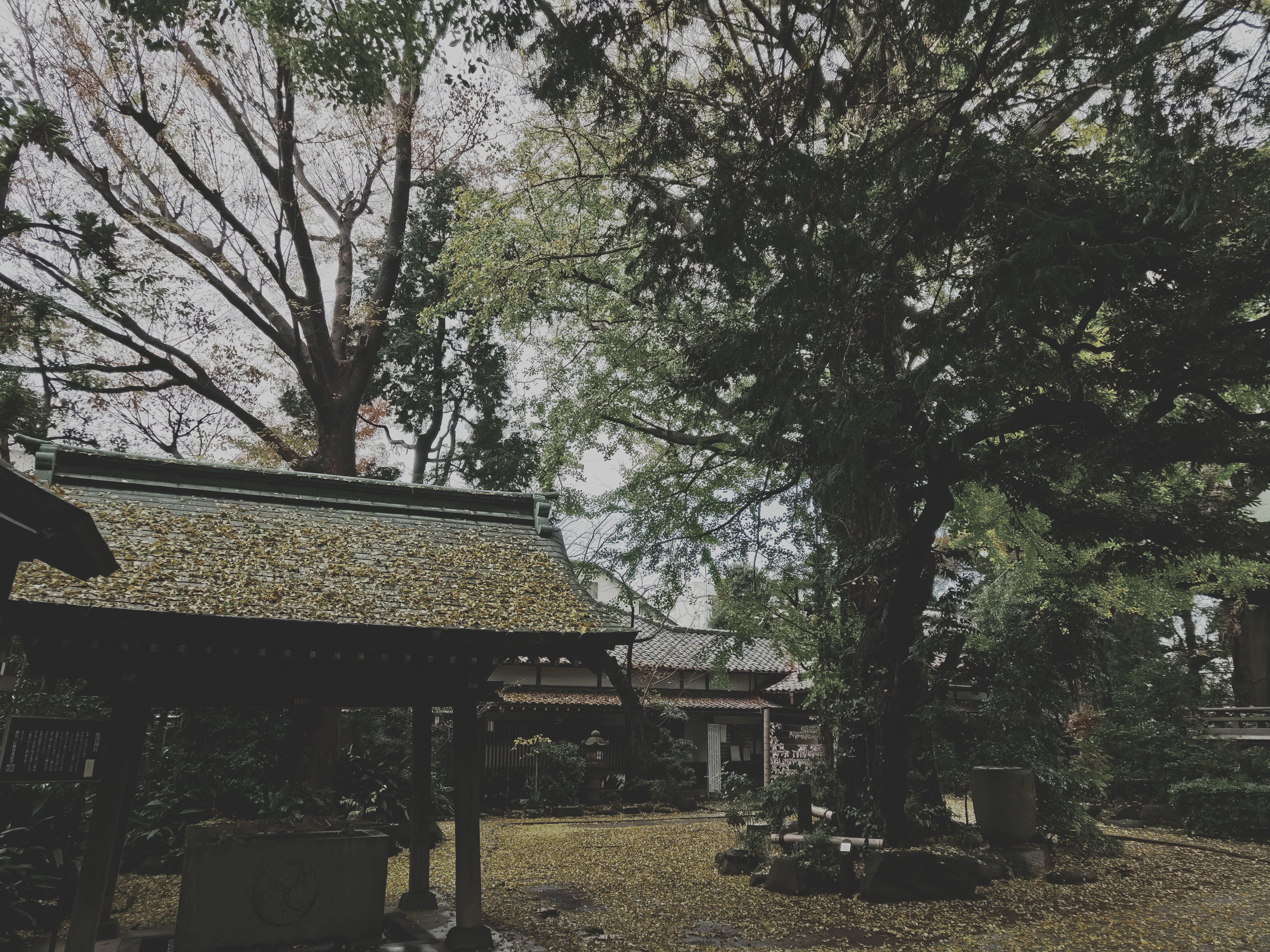 「幻想的な城」で撮影