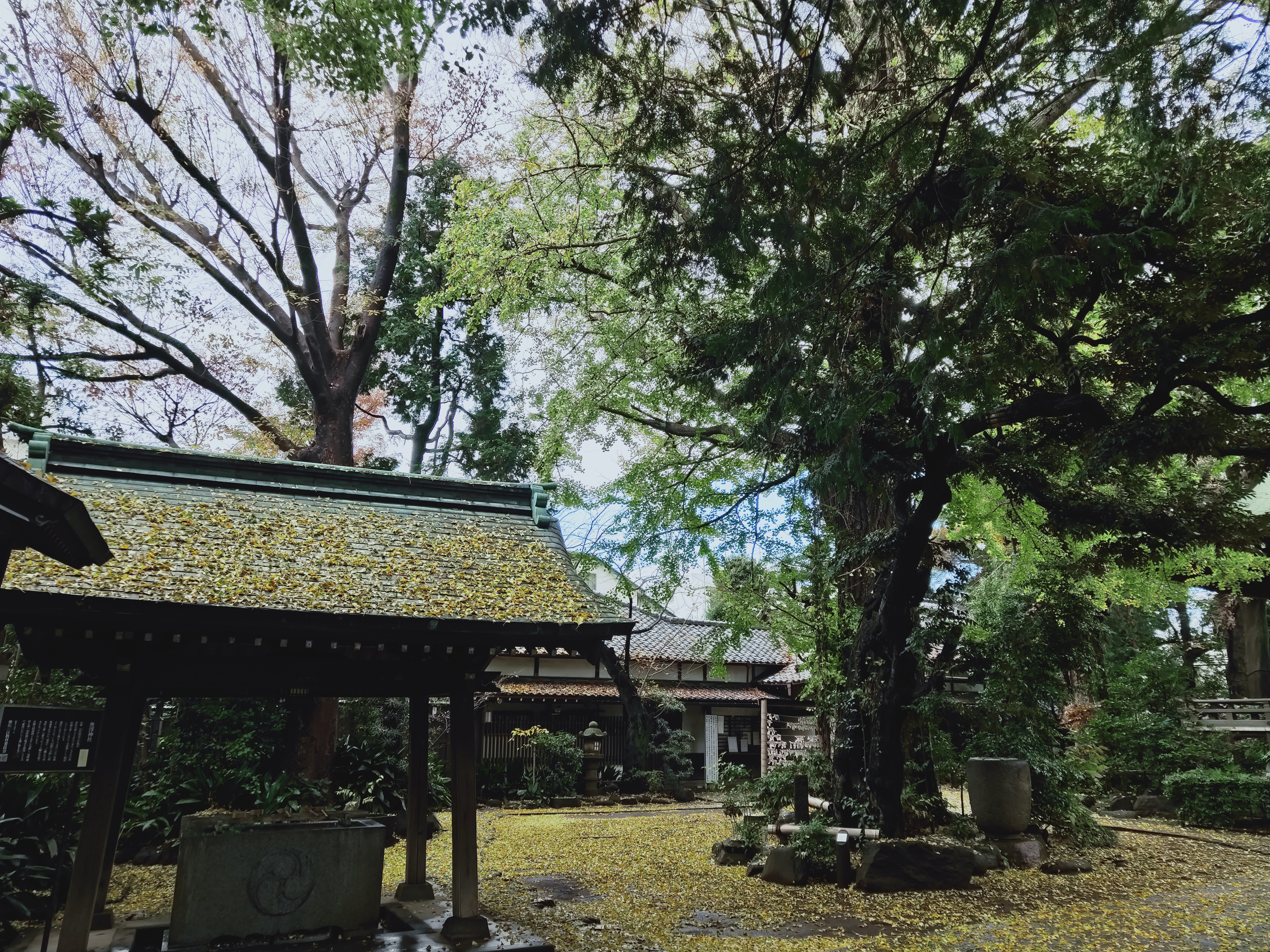 「重慶市」で撮影