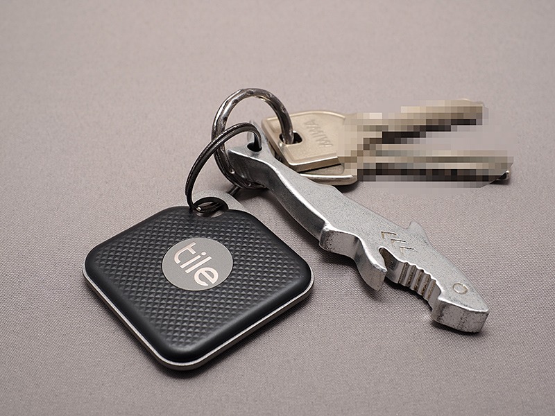 Proをキーチェーンにつけてみた。小さめの、車のリモコンキーといった趣だ