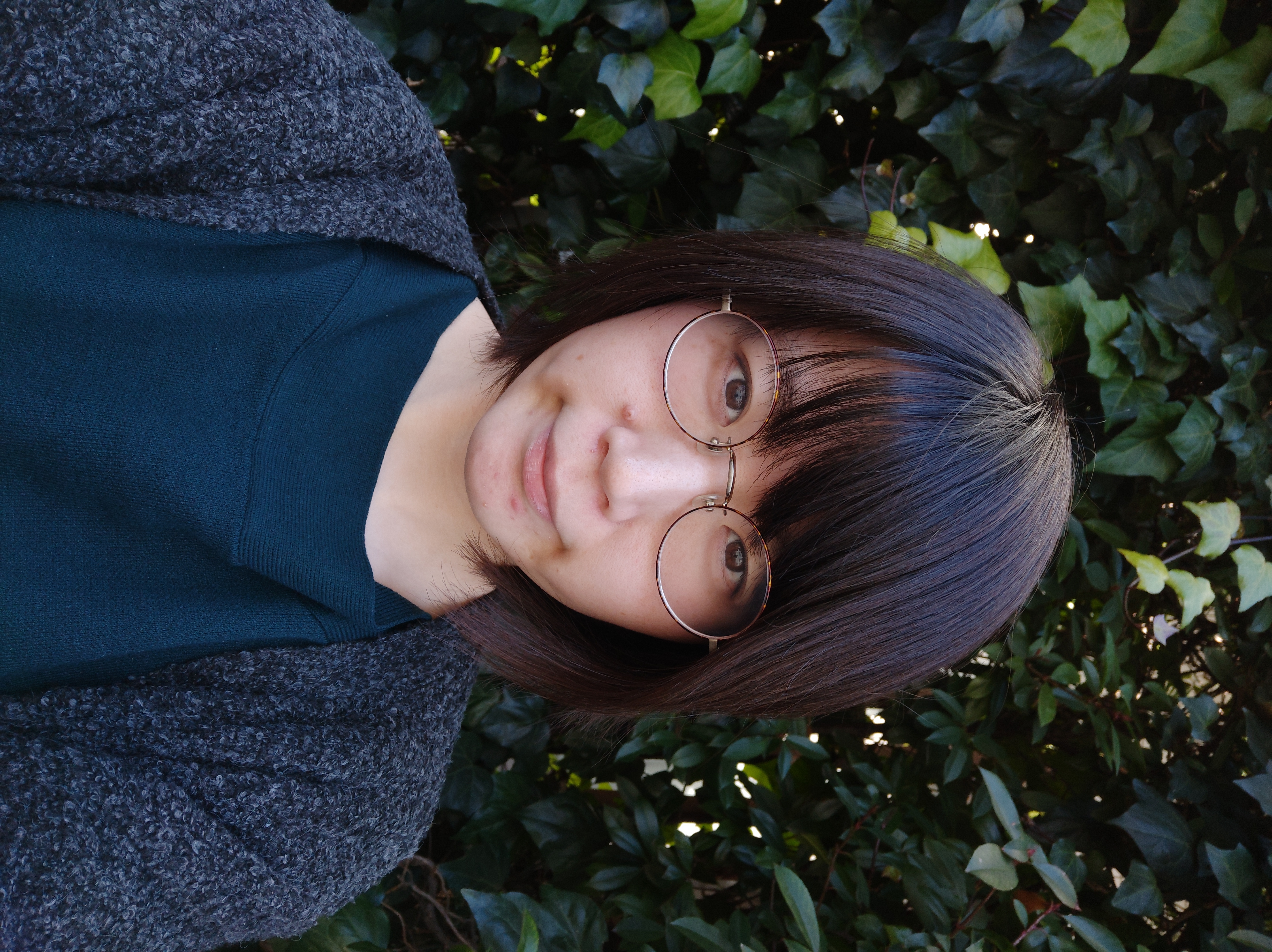 「AI」オフで撮影。オートでも十分きれいに撮れる