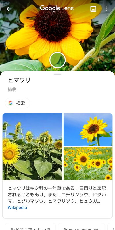 カメラに写して検索できる「Google Lens」