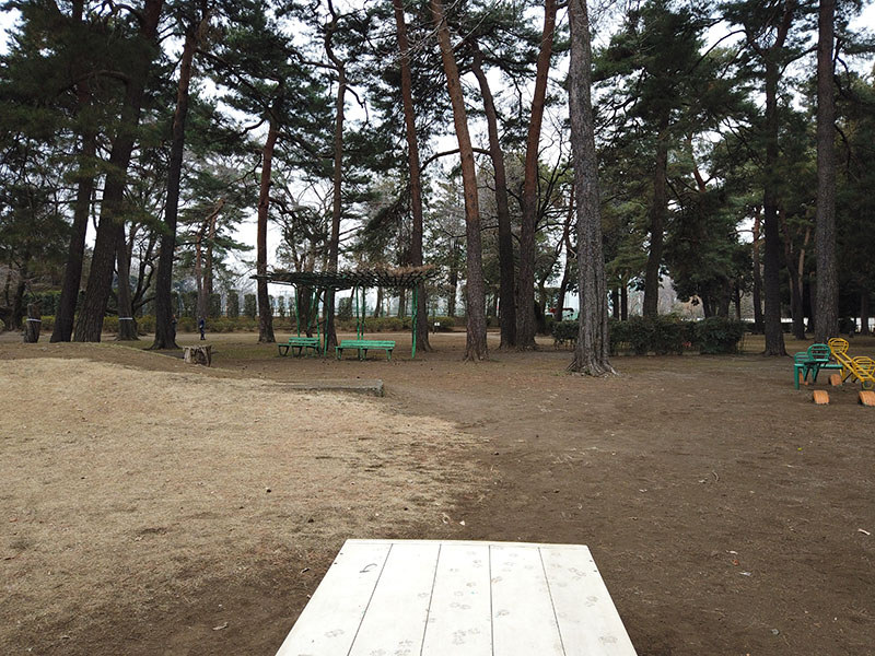 Osmo Pocketで撮影した静止画。何ら頑張ることなく、水平が保たれた写真を撮影できます。パノラマ撮影も手軽に行えて、中央が左右180度パノラマで、右が縦横3×3のパノラマ。撮影時にスタビライザーが自動的に首を振って複数枚の写真を撮り、それら写真を自動合成します。