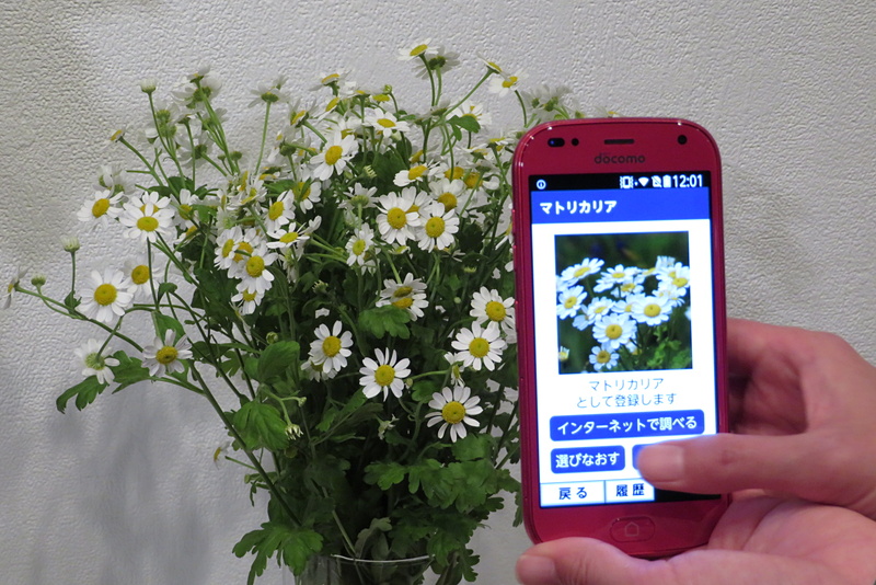 花ノート