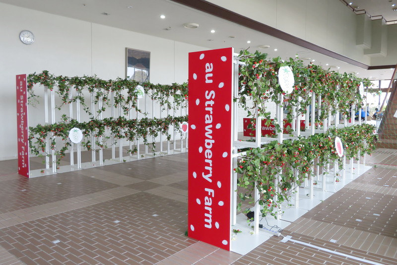 「未来の農業のお仕事～ドローンプログラミング～」ブース