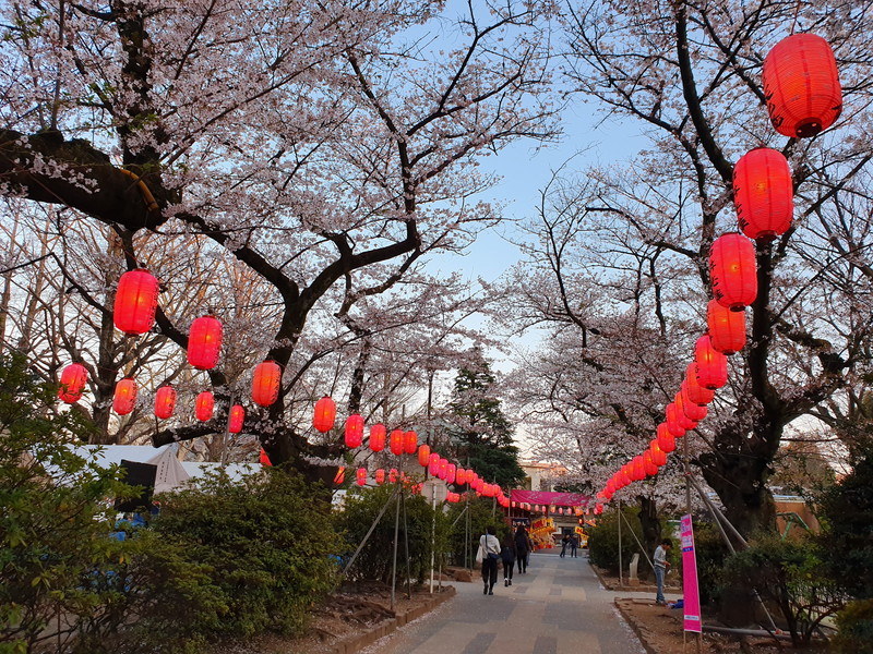 同じく夕方の風景。「Galaxy S」の方は空は白く、道路は黒くなってしまっている。提灯の赤色も「Galaxy S10+」のほうがビビッドだ
