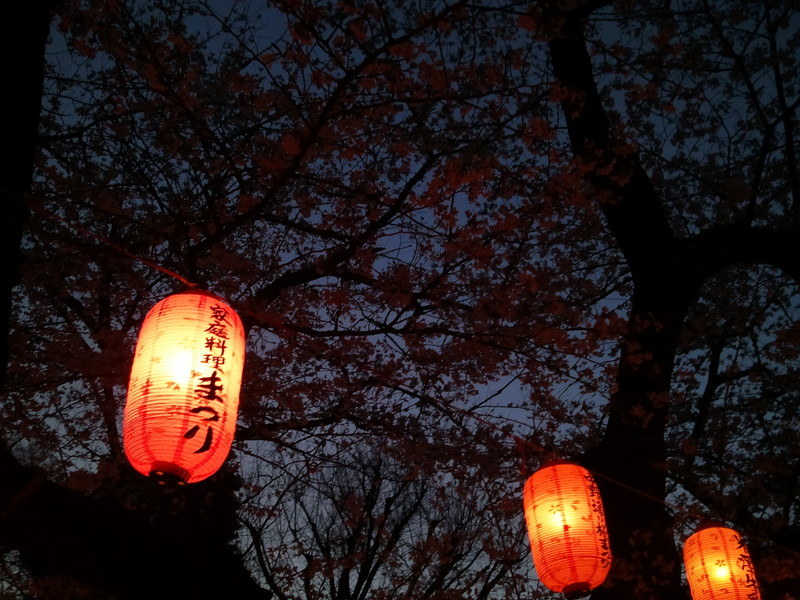 少し暗くなってきたところ。実際に肉眼で見た明るさは「Galaxy S10+」のほうに近いのだが、「Galaxy S」のほうは提灯の明るさに合わせて、かなり暗くなってしまった